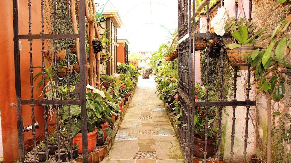Villa Bonita Les Terrasses Cuernavaca Exterior foto